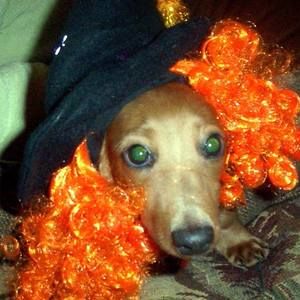 Meet your Posher, Katy